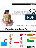 Pontos Shu Do Dorso e Pontos Mo 1