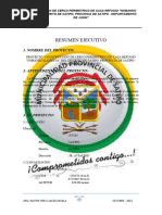 Resumen Ejecutivo Word Final Ok