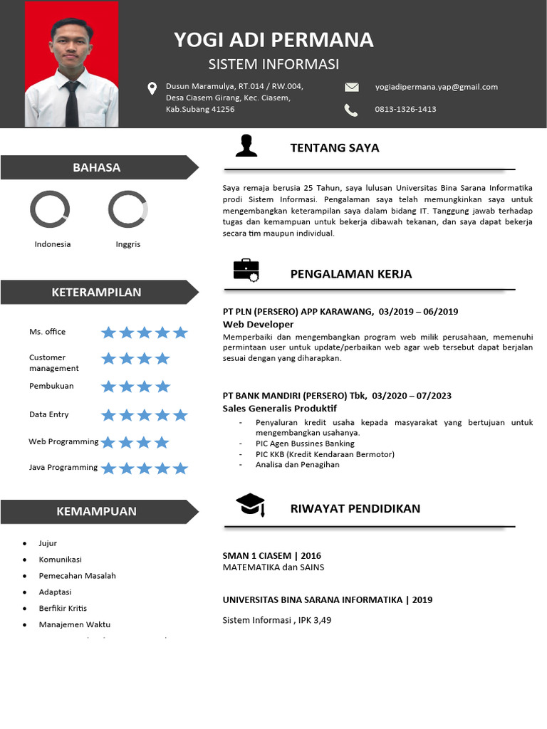 Free CV Template 13 | PDF