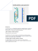 Acido Nucleico