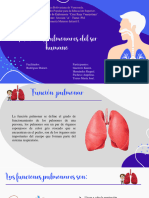 Exposición 1 - Fisiología - Funciones Pulmonares
