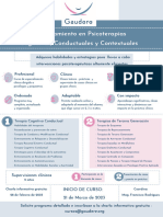 2023 - Entrenamiento en Psicoterapias Cogntivas, Conductuales y Contextuales