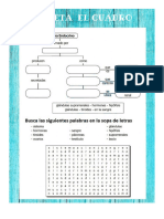 Actividad Del Sistema Endocrino