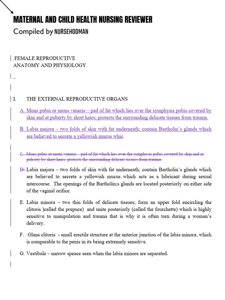 Maternal and Child Health Nursing Reviewer PDF Menstrual Cycle Pelvis