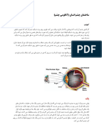 اناتومی چشم - 230919 - 202220