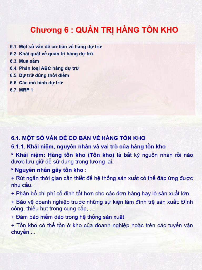 Ch 6 Qt Hang Ton Kho Pdf