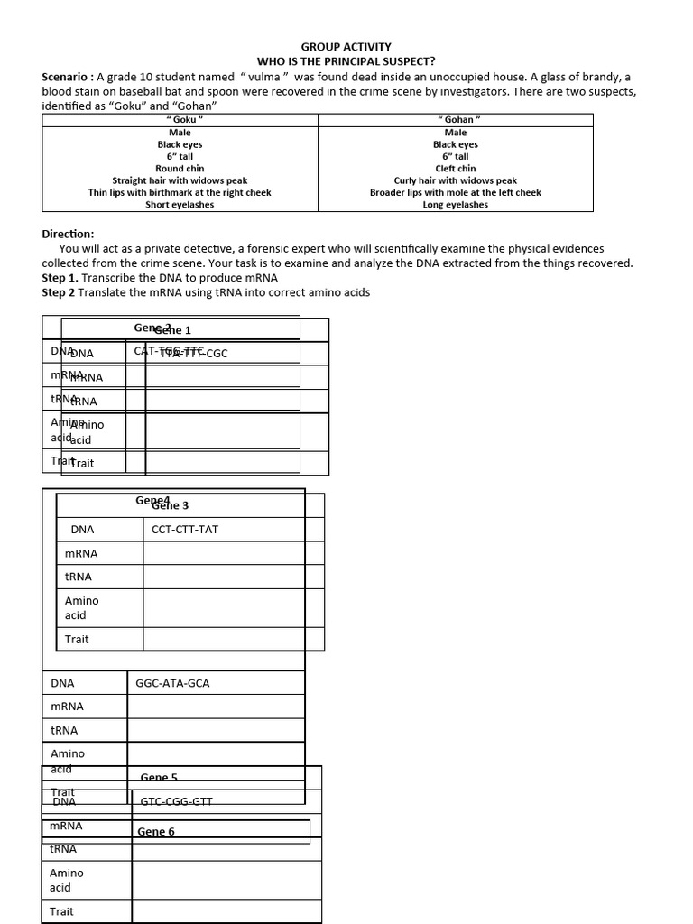 DNA Worksheetscot | PDF | Gene | Messenger Rna