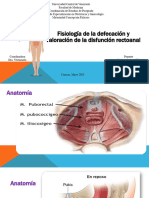 Fisiologia de La Defecacion CJLP