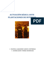 Actuación Basica Ante Plantaciones de Interior (1) - 1