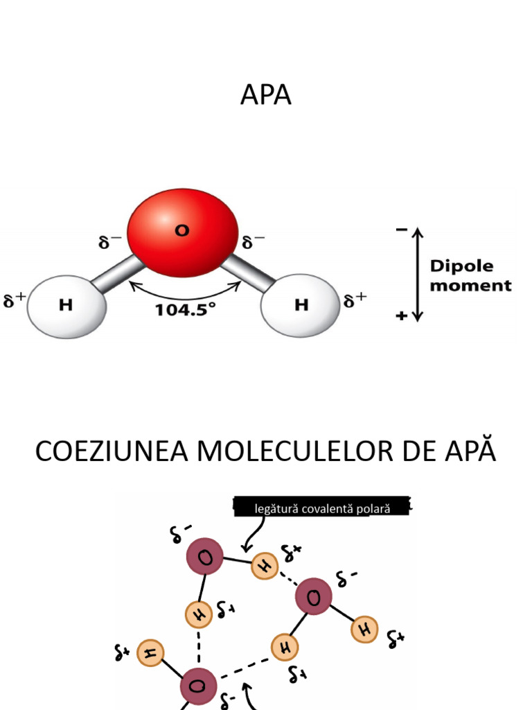APA | PDF