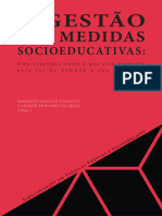 A Gestao Das Medidas Socioeducativas 2020