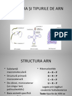 Structura Și Tipurile de ARN