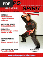 Wooden Dummy Alternative – 2 Demi-rouleaux + Pad, Wing Chun, Bras Extra Longs 430mm, Silencieux