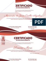 Certificados de Adulto Mayor U.E. Madre Laura