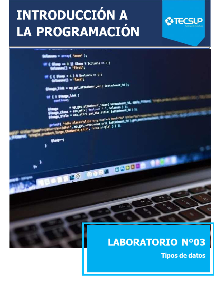 Tipos de Datos en Python: Laboratorio 3 | PDF | Python (lenguaje de ...