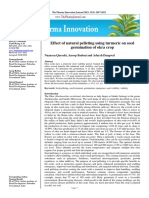 Effect of Natural Pelleting Using Turmeric On Seed Germination of Okra Crop
