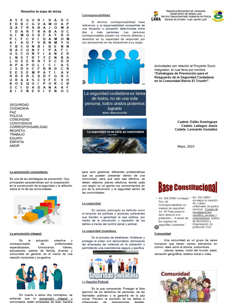 Estrategias de Seguridad Ciudadana | PDF | Valores | Policía