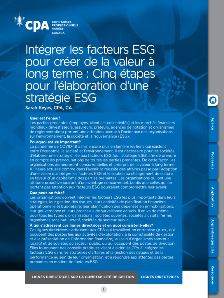 Stratégie ESG : Cinq étapes clés | PDF | Développement durable | Risque