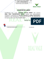 Certificado Alcool Drogas Real Vale