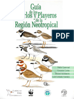 Guia de Los Chorlos y Playeros de La Region Neotropical Compressed