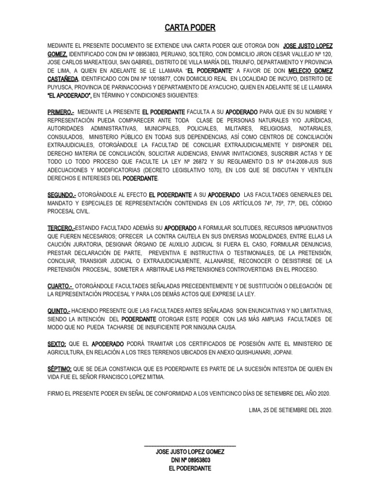 Carta Poder: Definición y Ejemplo | PDF | Ley procesal | Gobierno