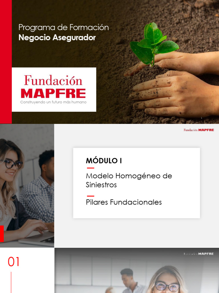 Formación en Gestión de Siniestros Aseguradores | PDF | Reaseguro ...