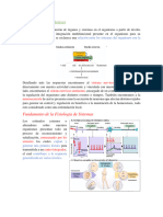 1 Fisiología de Sistemas y Cerebro