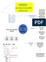 INFOGRÁFICO