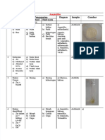 PDF Antibiotik Ampicillin Compress