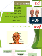 Sistema MusculaR3