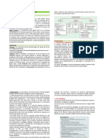 Insuficiencia Renal Aguda