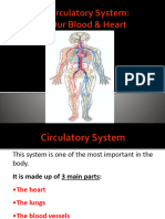 Circulatorysystem 150924170240 Lva1 App6892