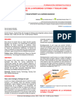 Concepto de Deterioro de La Integridad Cutánea Y Tisular Como Diagnóstico Enfermero