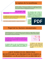 Papel de La Ruptura de La Membrana