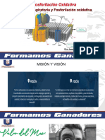 Fosforilación Oxidativa Ciclo I-2023