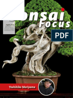 Bonsai Focus - 01.02 2023