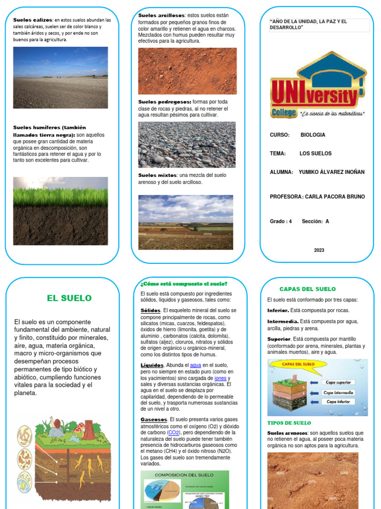 Tipos de Suelos y sus Características | PDF | Suelo | Agua