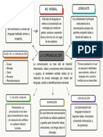 Organizador Grafico