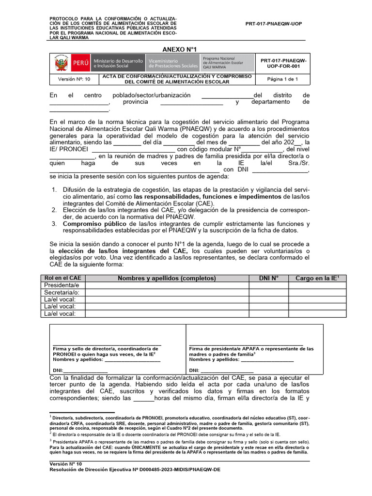 Formatos CAE 2024 PDF