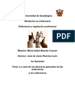 La Carta de Los Derechos Generales de Las Enfermeras