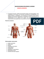 Aparato Locomotor