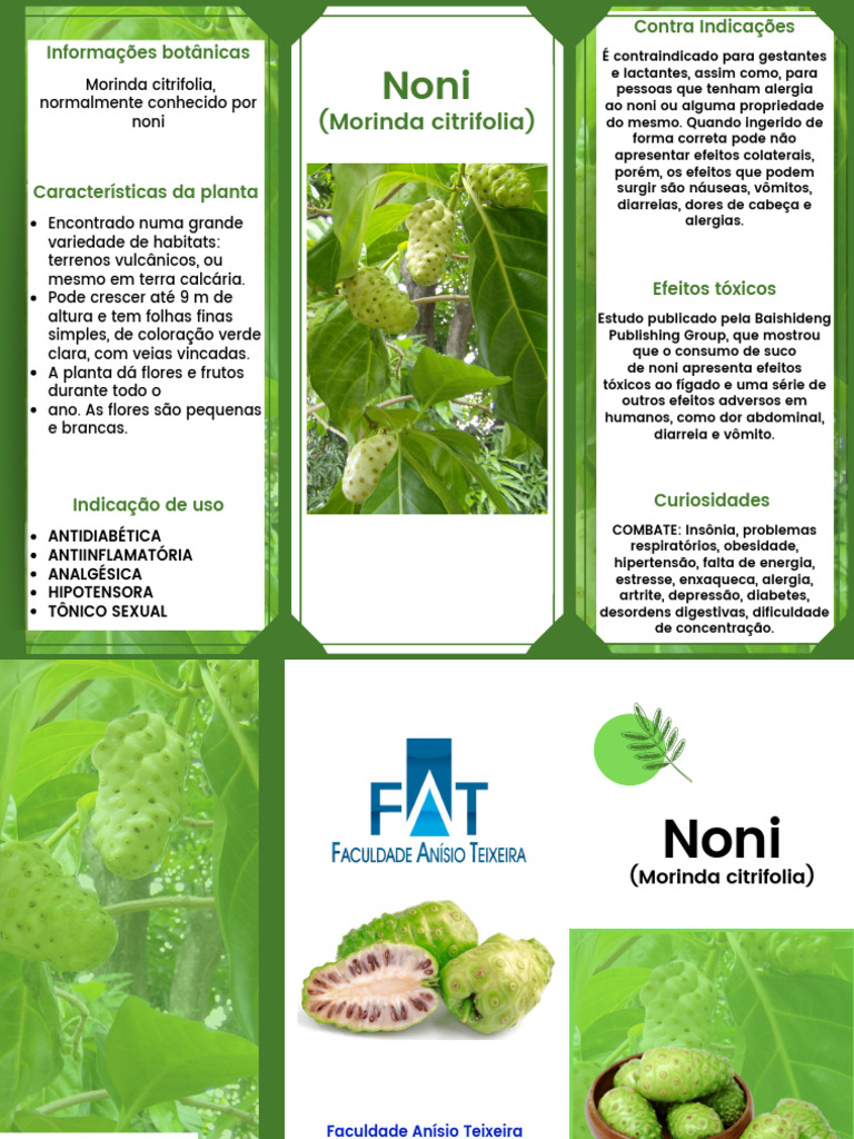 Efeitos e Contraindicações do Noni | PDF | Causas de morte | Medicina ...