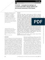 H-Ferritin and CD68