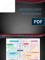 Bases Del Metabolismo