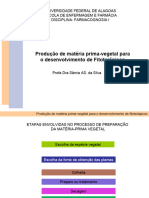 Produção de Matéria Prima-Vegetal para o Desenvolvimento de Fitoterápicos