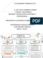 Tema: Flujograma Trámites JCC