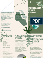 Flyer Folleto Triptico Plantas Vivero Divertido Moderno Orgánico Verde