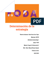 Determinación de La Estrategia