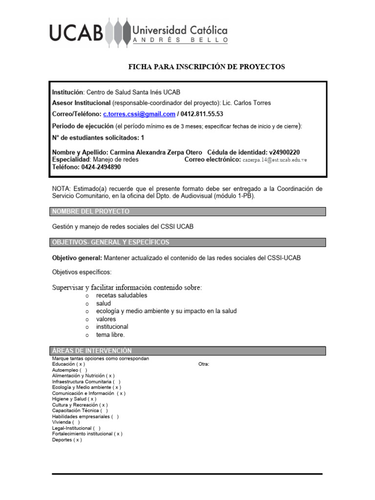 Proyecto de Inscripción (Gestión de RRSS) | PDF | Arte