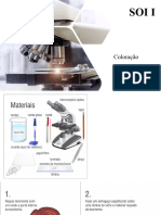 Multiestação histologia -  Coloração 